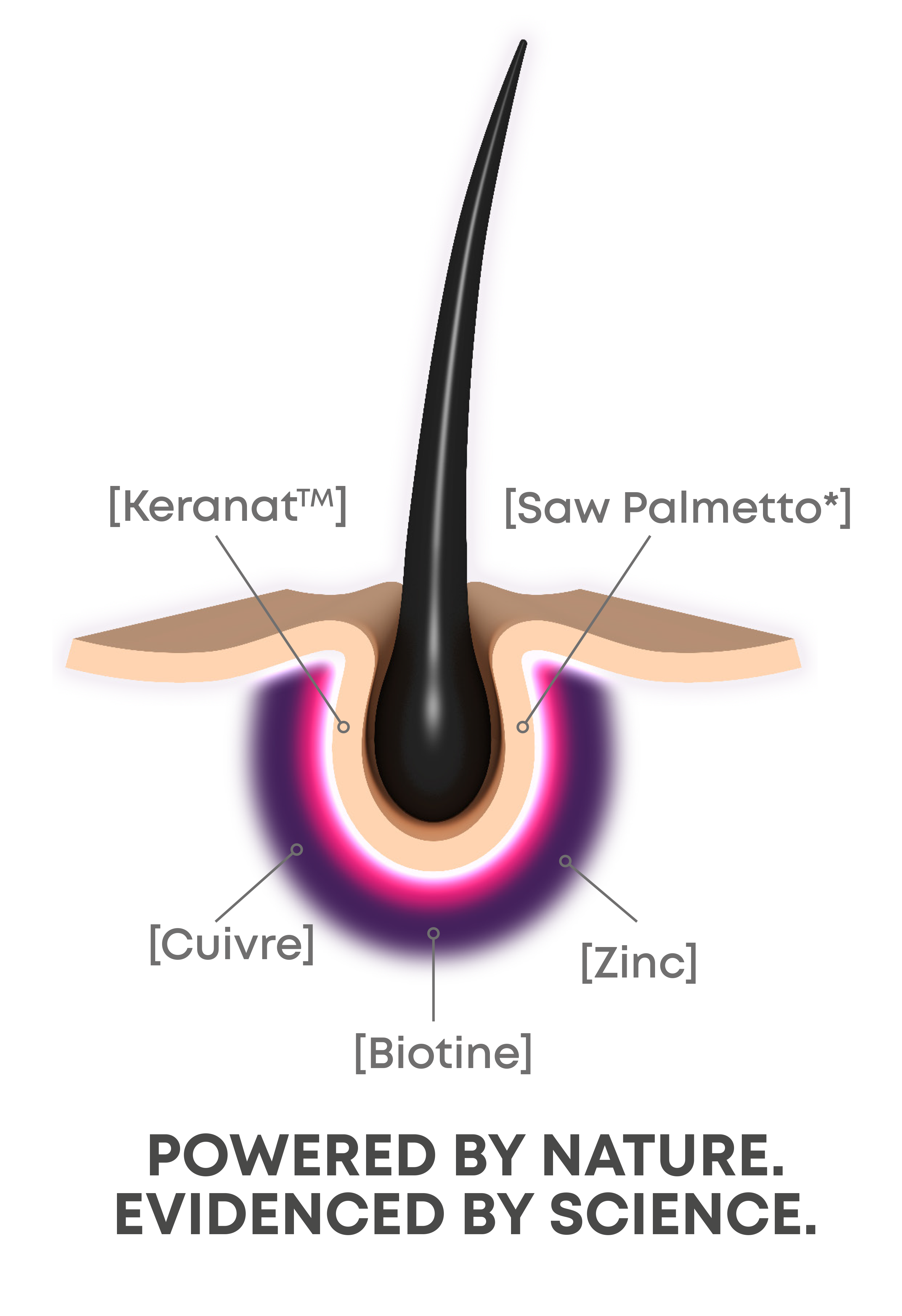 Nouveau Bariatric Advantage Hair Bariatric Advantage Europe 5446